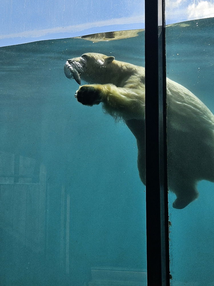 Rotterdam Zoo