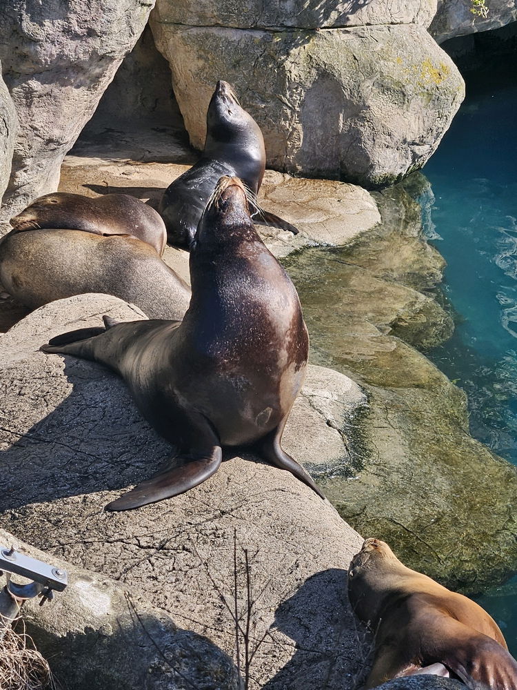 Rotterdam Zoo
