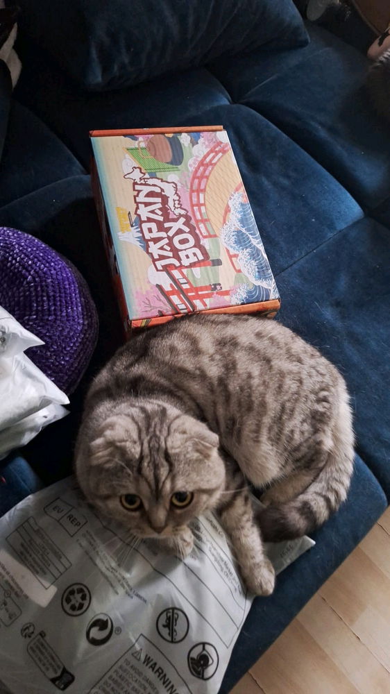 Wächter der Snacks