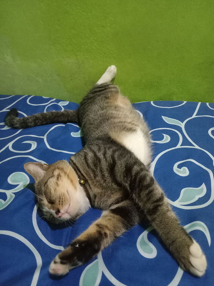 Have you had a nap today?🤪