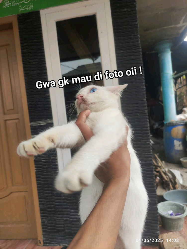 😆