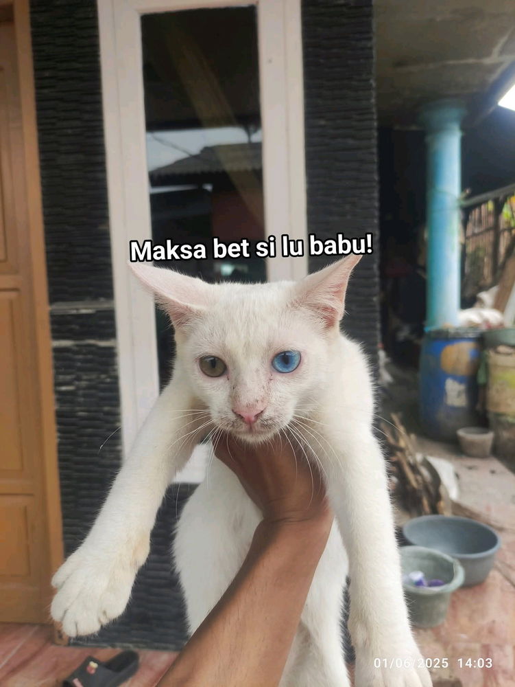 😆