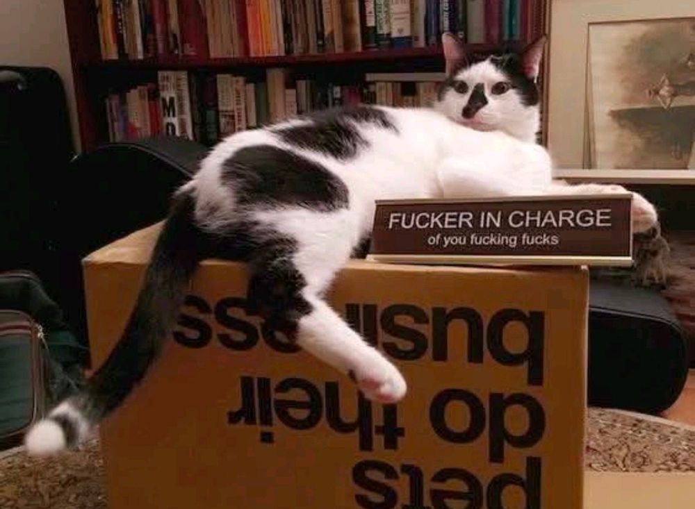 Fuq
