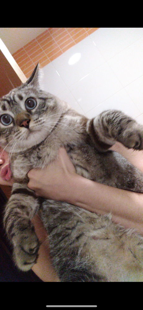 Charlie