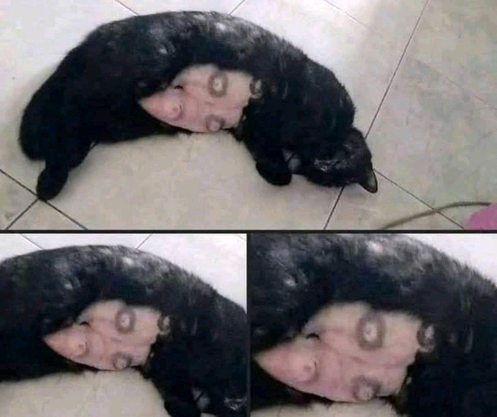 Tf