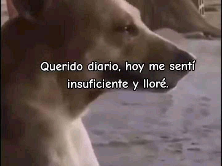 Todos los días