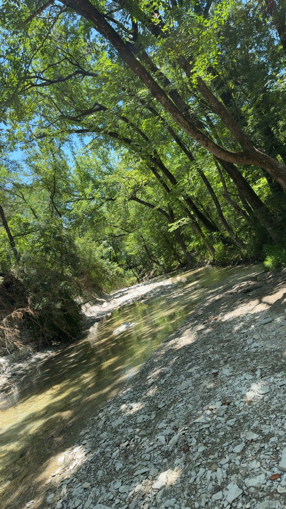 Pictures from trips/parks