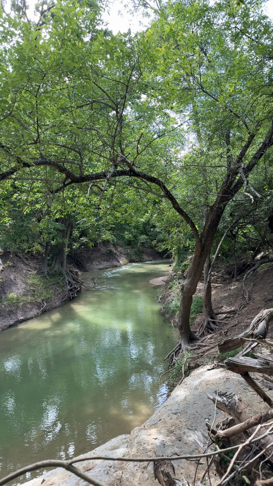 Pictures from trips/parks