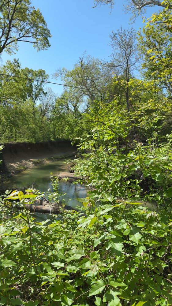 Pictures from trips/parks