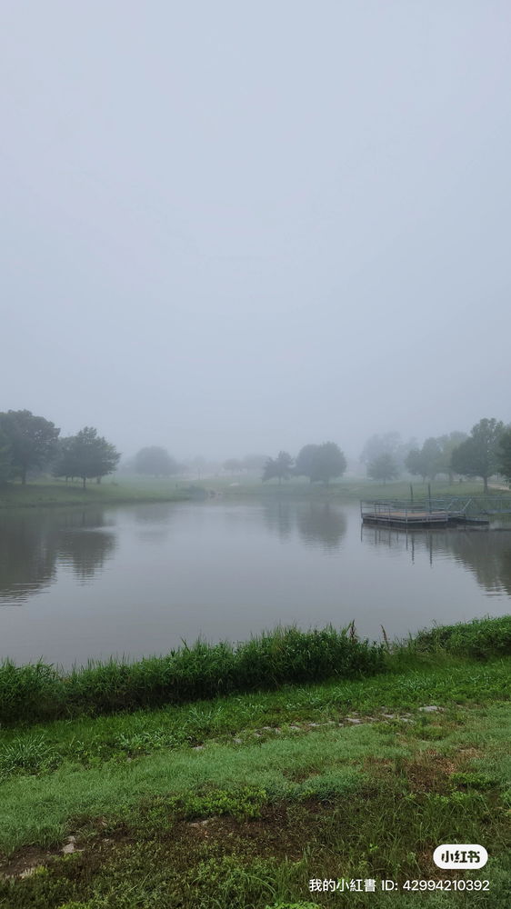 Pictures from trips/parks