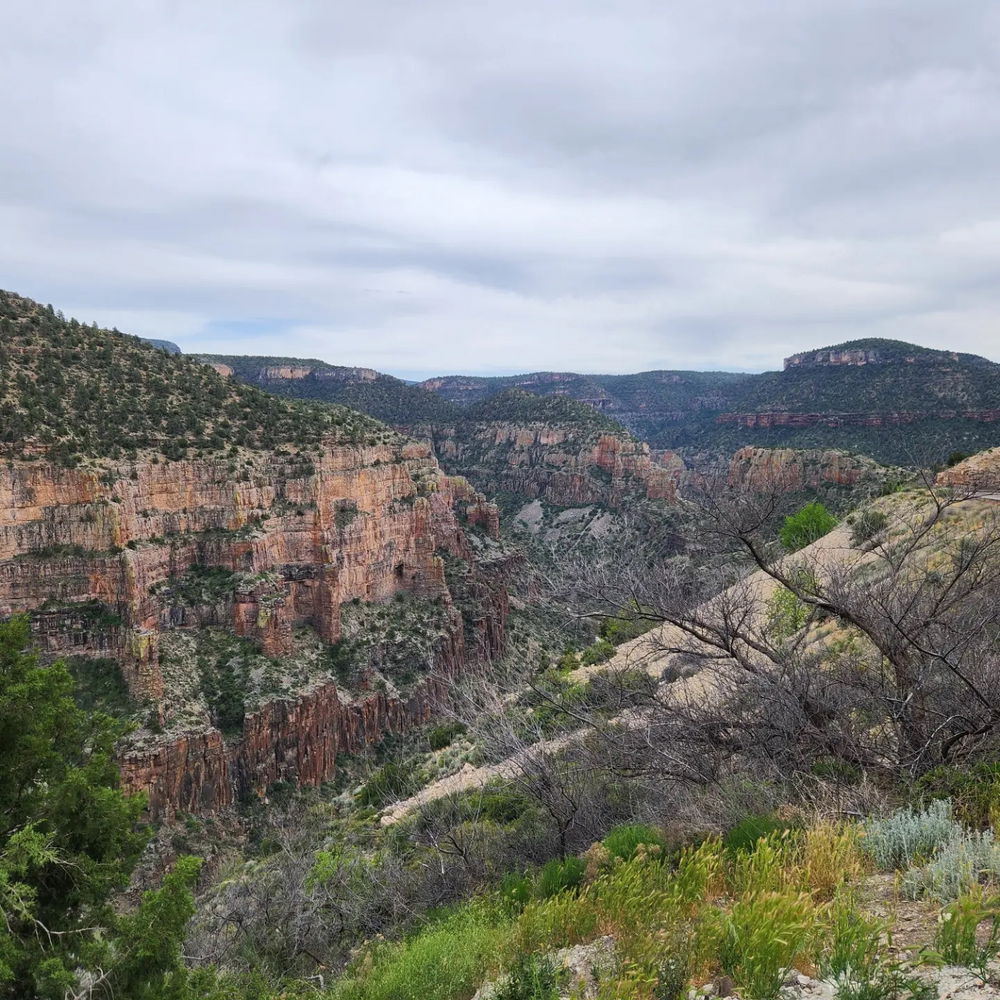 Pictures from trips/parks