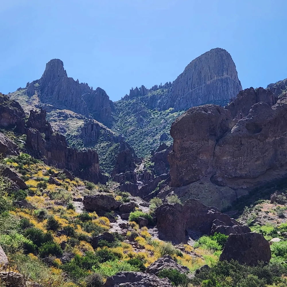 Pictures from trips/parks
