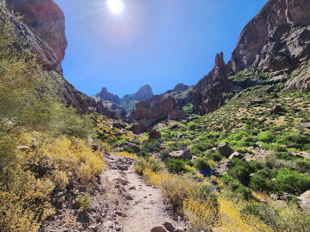 Pictures from trips/parks