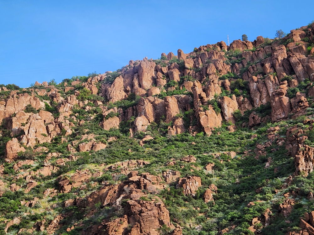 Pictures from trips/parks