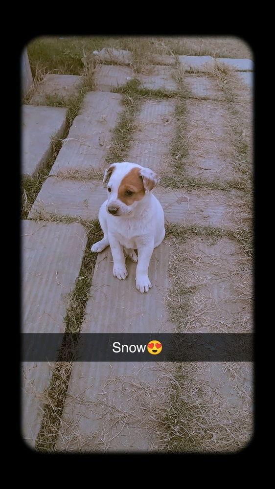 Cutie, isn't she?