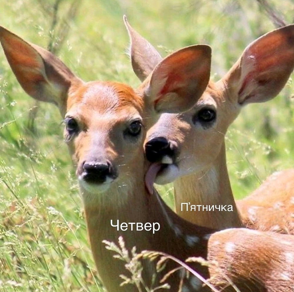 Ти теж це відчуваєш?))))