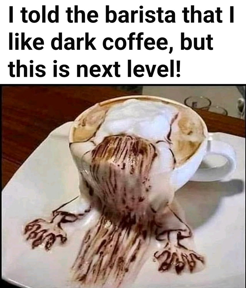 😂😂😂😂
