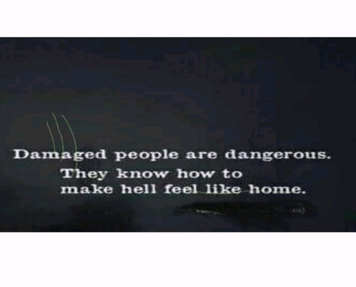 Survivor
