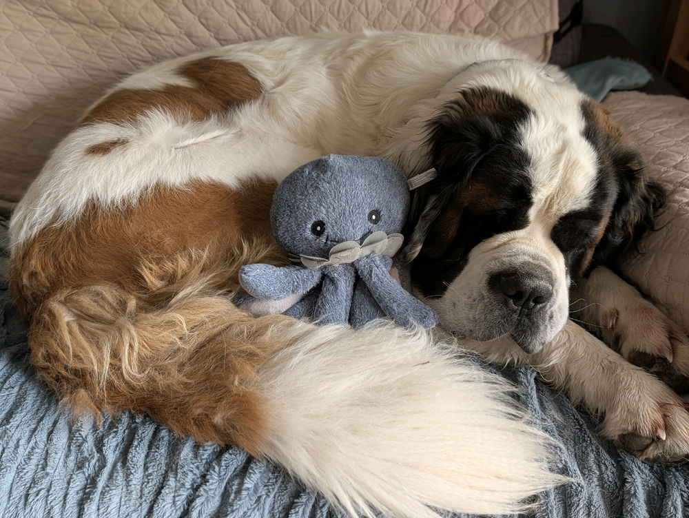 ZZZzzz