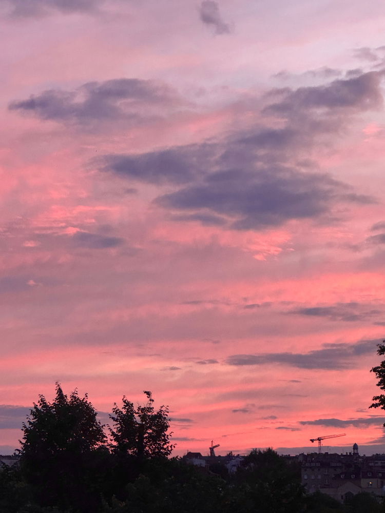 oh my sunset