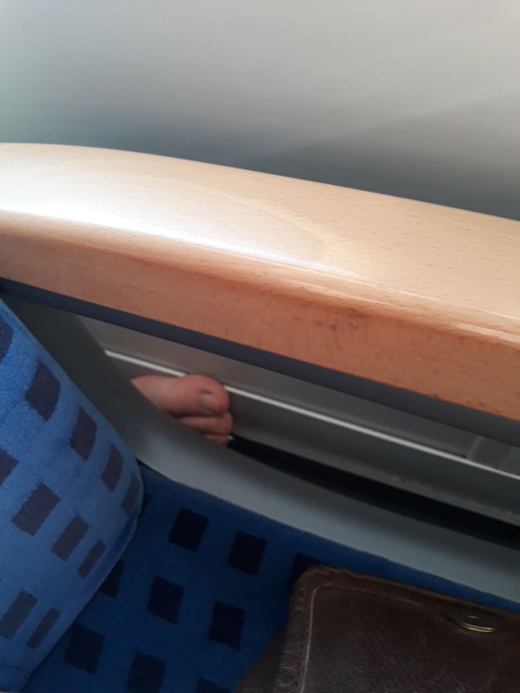 Nel frattempo sul treno in Germania…
