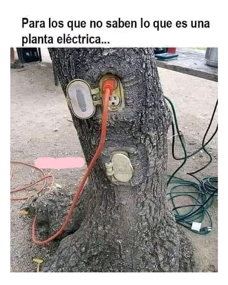 Humor para la tarde