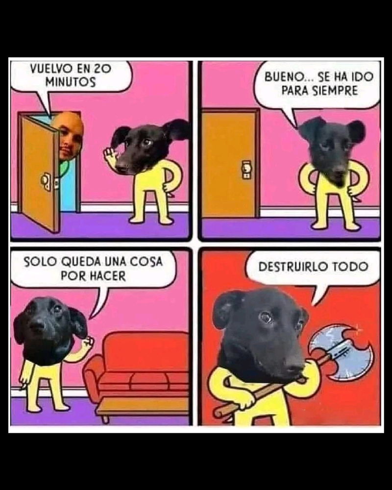 Humor para la tarde