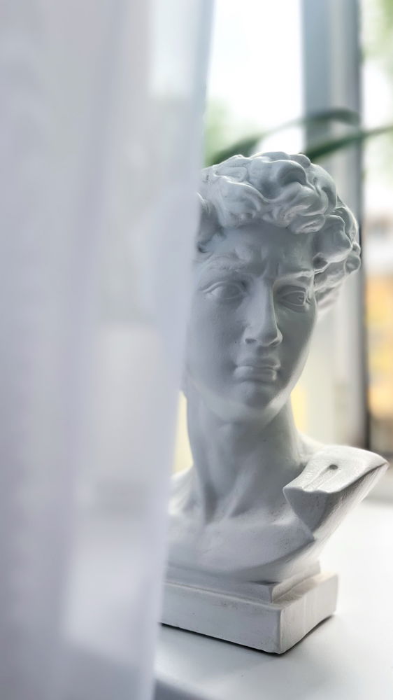Dubito ergo cogito, cogito ergo sum