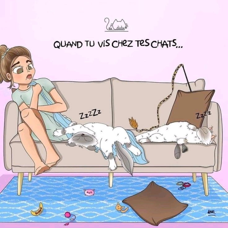 C'est qui qui commande?😁🐈‍⬛