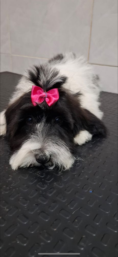 Bebé de Mamá ❤️