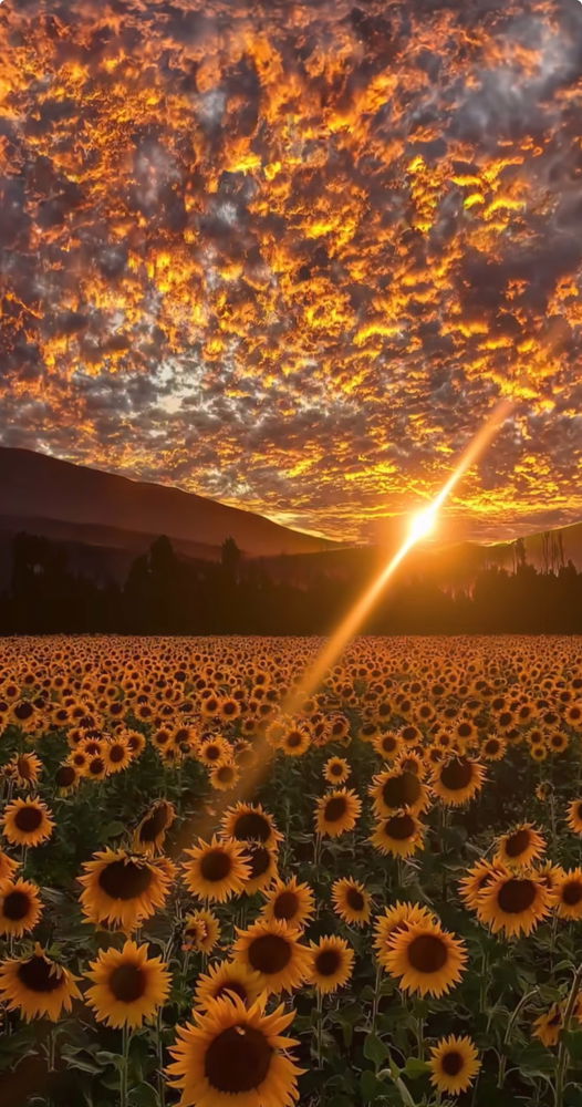 Imagine laying down and staring at the sky