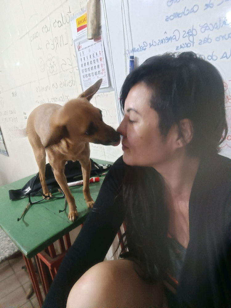 Ai beijar cachorro na boca é nojento