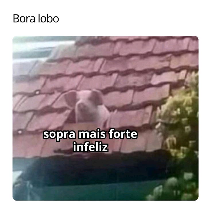 Sensacional 🤣