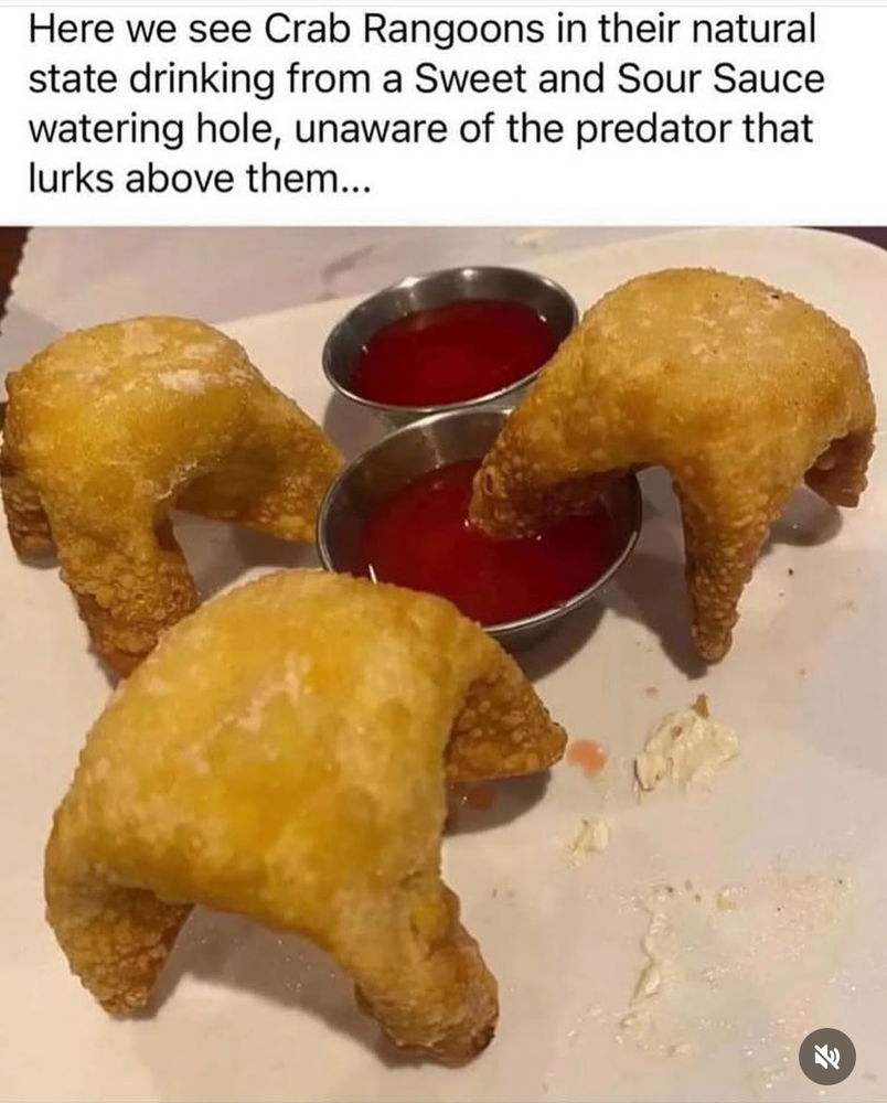 *HALF-LIFE 2 Intensifies*