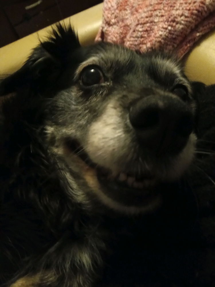 No es hermosa su sonrisa? ❤️