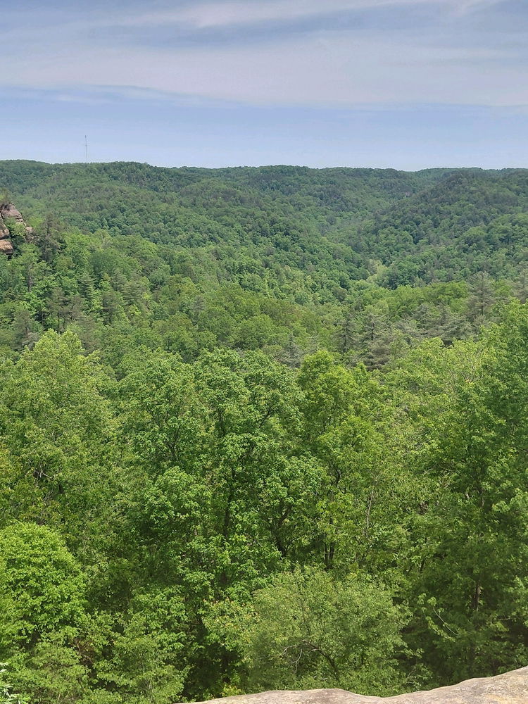 Natural Bridge park