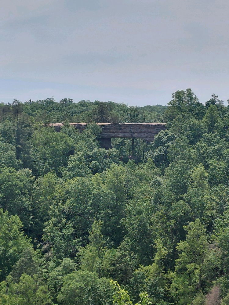 Natural Bridge park