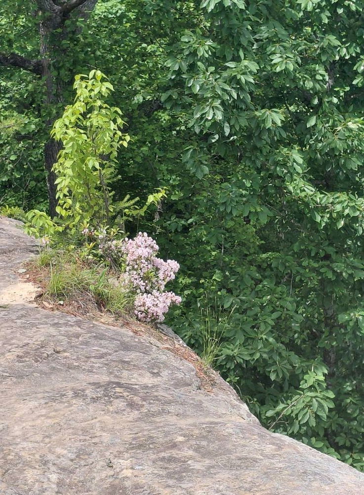Natural Bridge park
