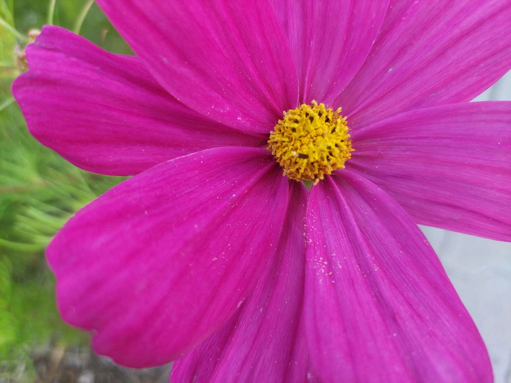 🌸🙂