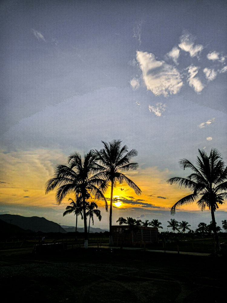 Beach in Venezuela
