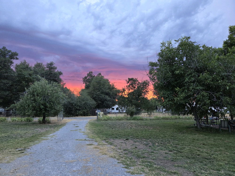 sunset tonight  :)