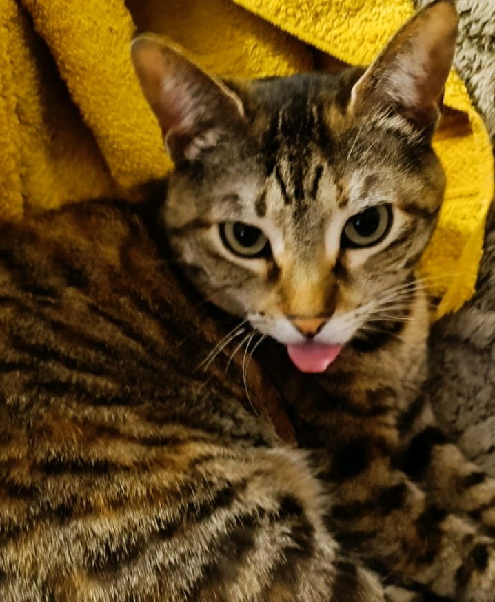 La mia cucciola