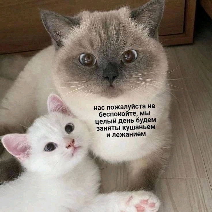 Настроение пятницы)))