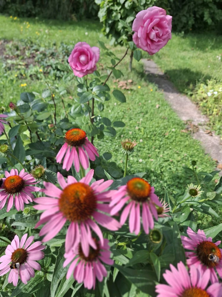 Traumhaft gerade die liebe Natur