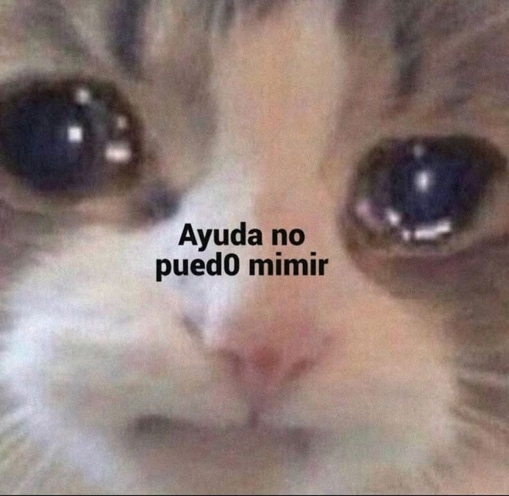 no puedo dormir
