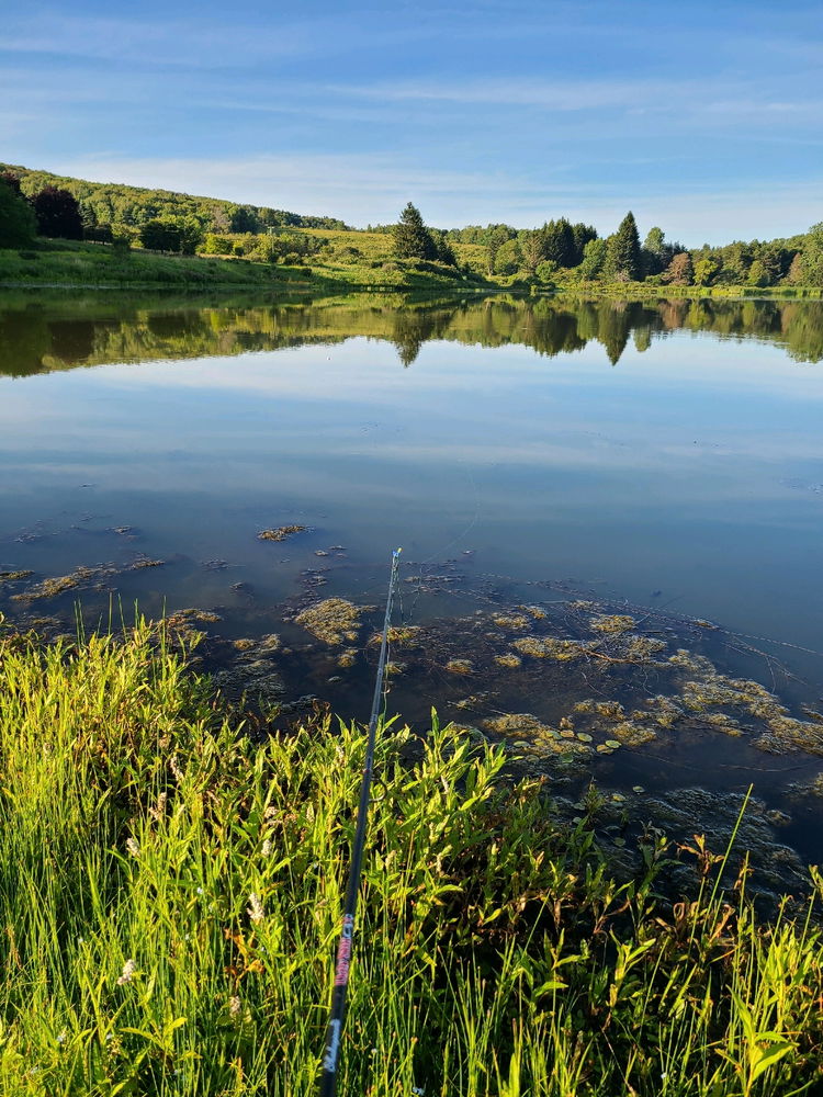 The Best Fishing Spot
