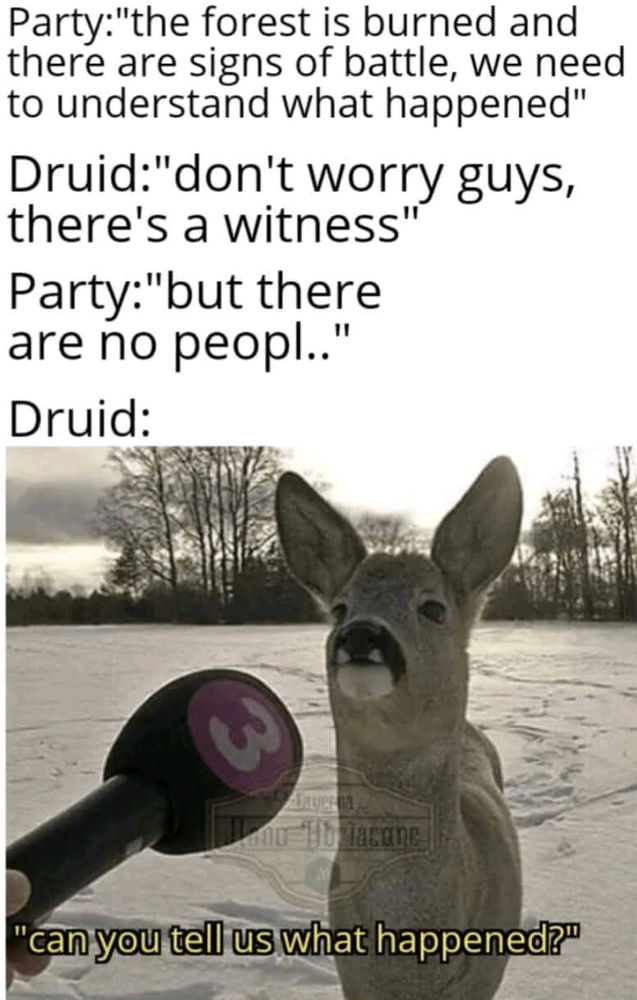 🦌