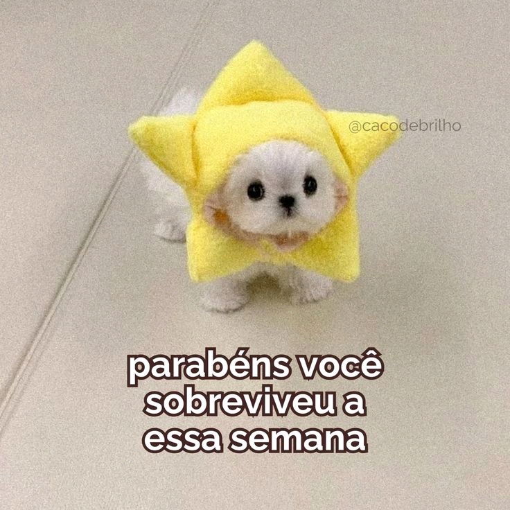 Bom dia 😘
