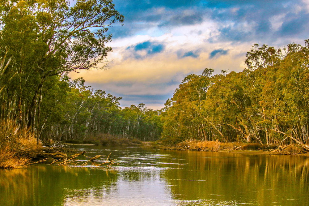 Murray river, Australia 🇦🇺