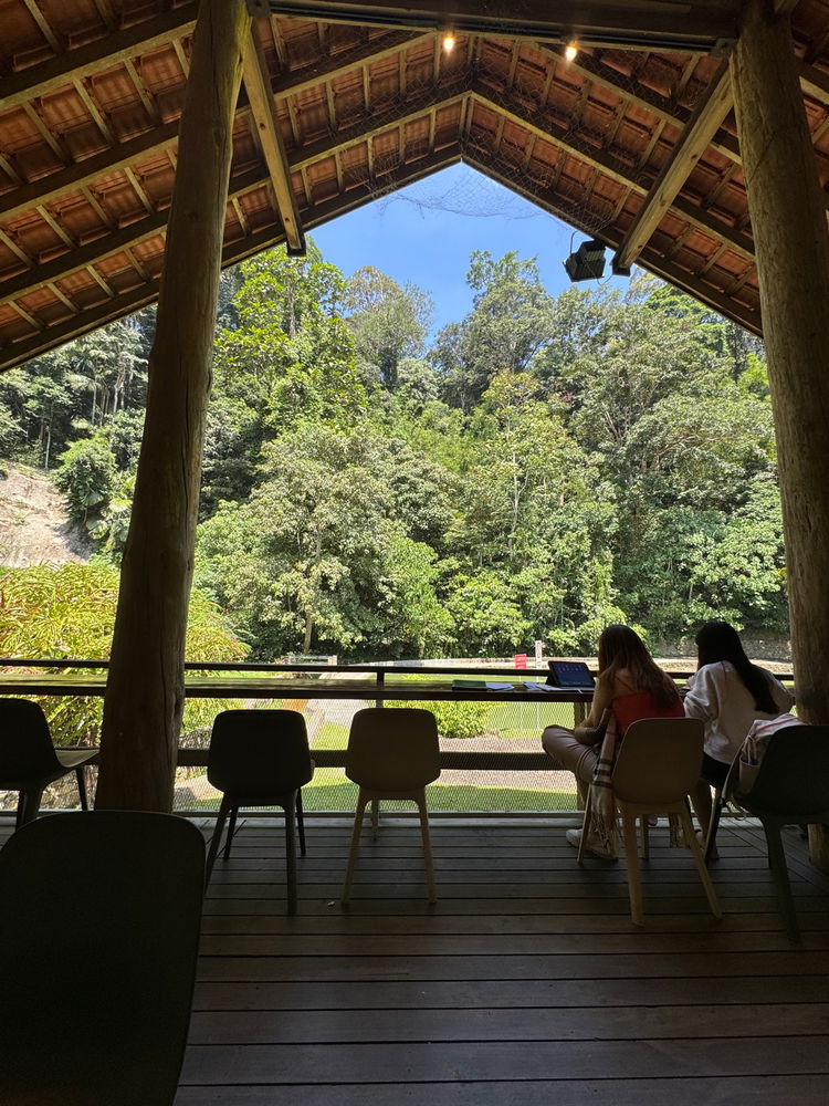 Pineyard weekday chill